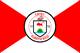 Bandera de Cayey